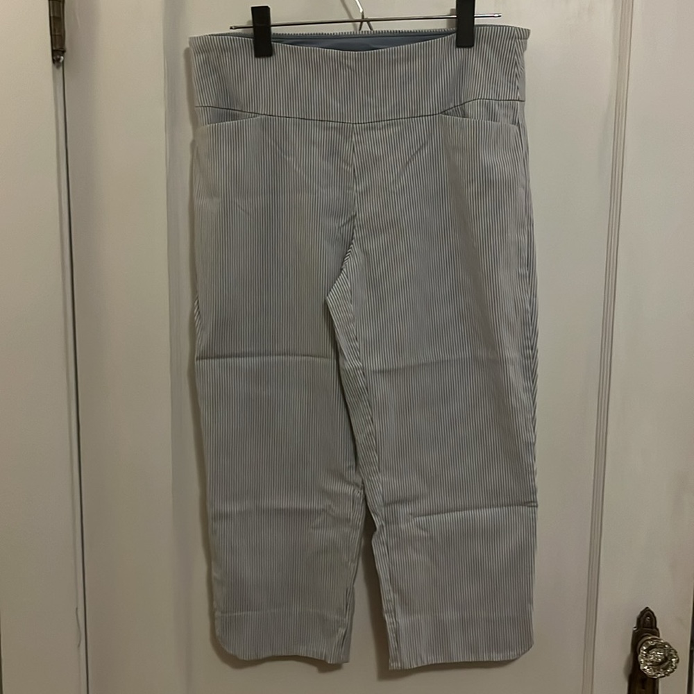 S.C. & Co. Striped Stretch Capris (Women’s 12) - Picture 2 of 9
